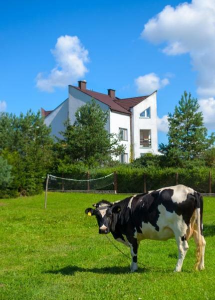 Gospodarstwo Agroturystyczne Jacwing Villa Giby Exterior foto